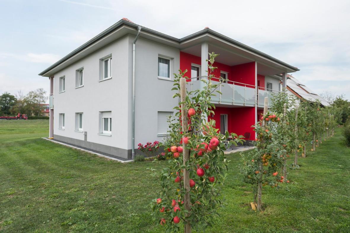 Hofmann'S Apartements & Ferienwohnungen オーバーダハシュテッテン エクステリア 写真