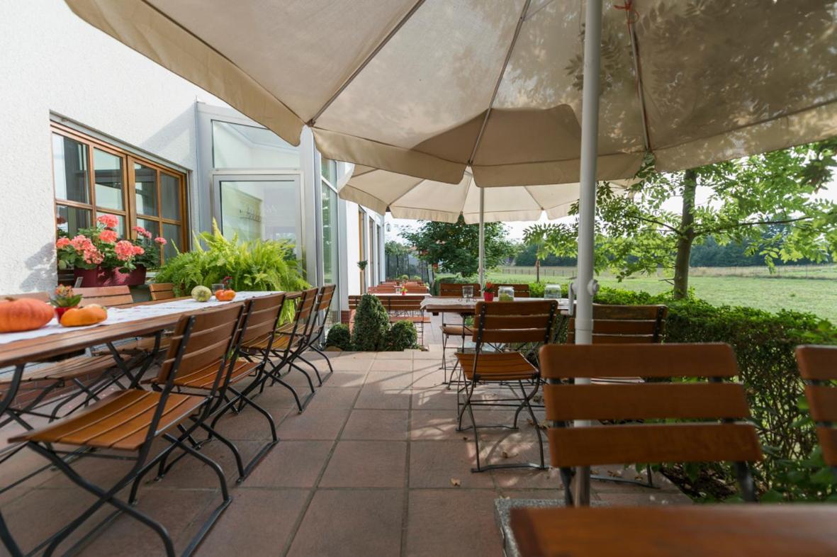 Hofmann'S Apartements & Ferienwohnungen オーバーダハシュテッテン エクステリア 写真